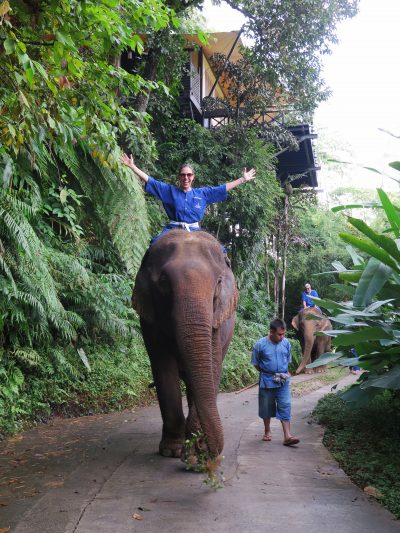 passeando de elefante no golden triangle