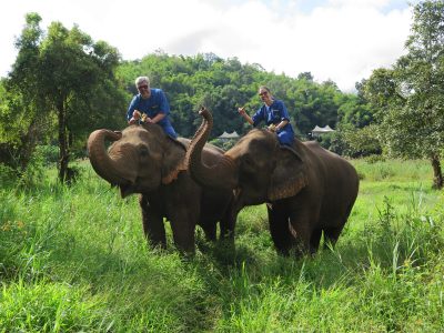 elefante no golden triangle