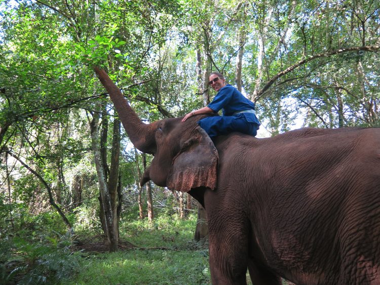 Passeando de elefante no Four Seasons Tented Camp