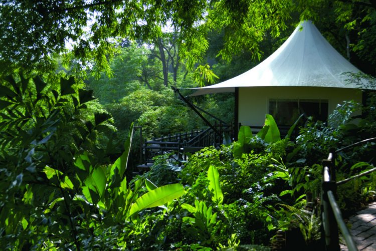 tenda em meio a natureza no Four Seasons Tented Camp