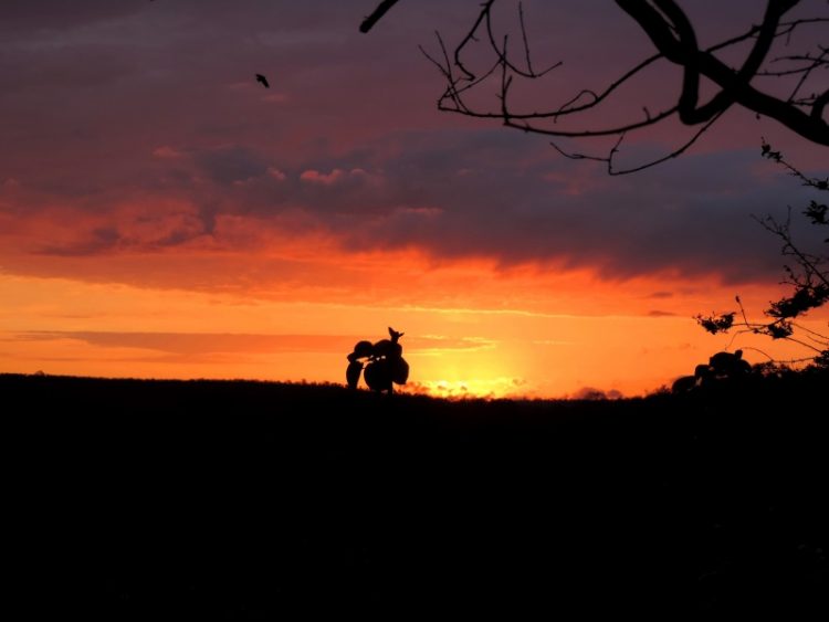 Pôr do sol durante o safari no Singita Lebombo na África do Sul