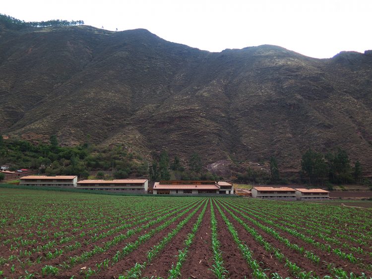 O explora Valle Sagrado está inserido na paisagem