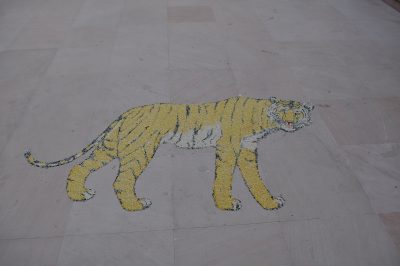tigre
