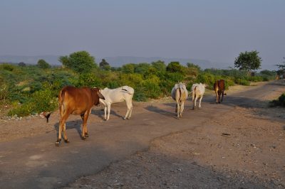 na estrada