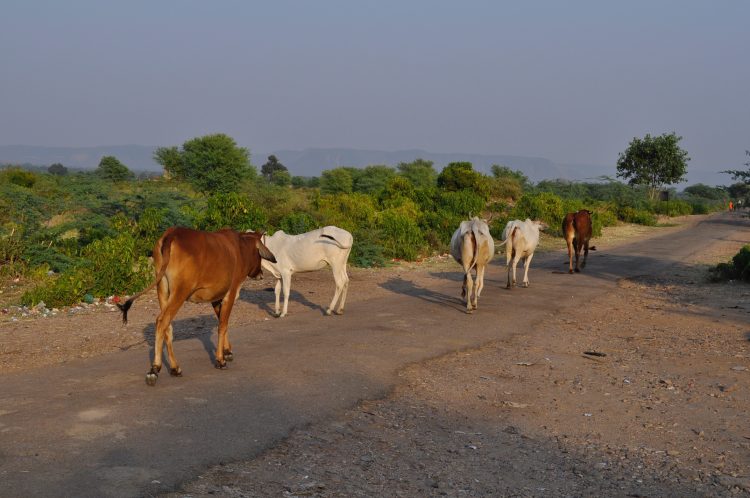 na estrada