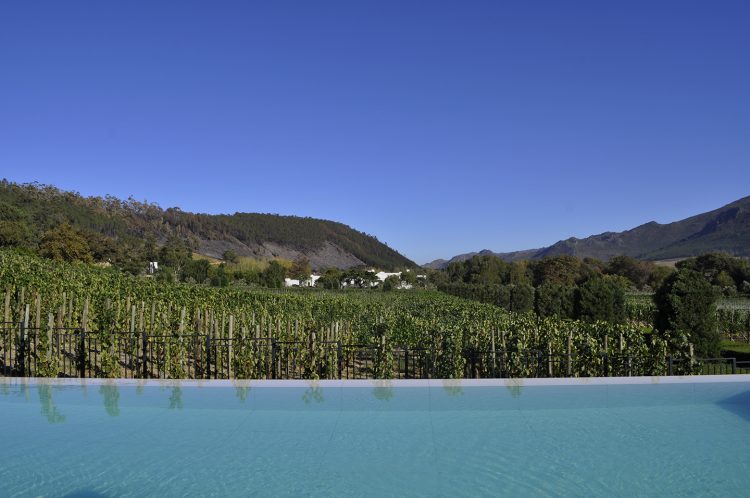 Piscina com vista para os vinhedos