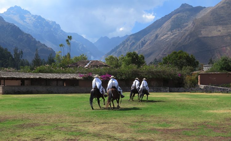 Performance de cavalos com dança marinera