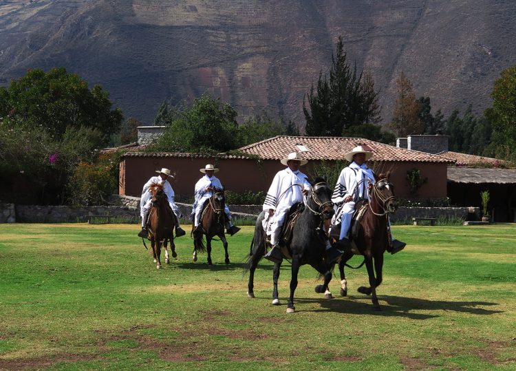 Performance de cavalos com dança marinera