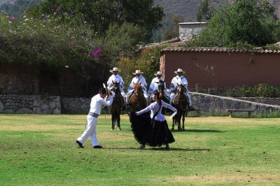 Performance de cavalos com dança marinera