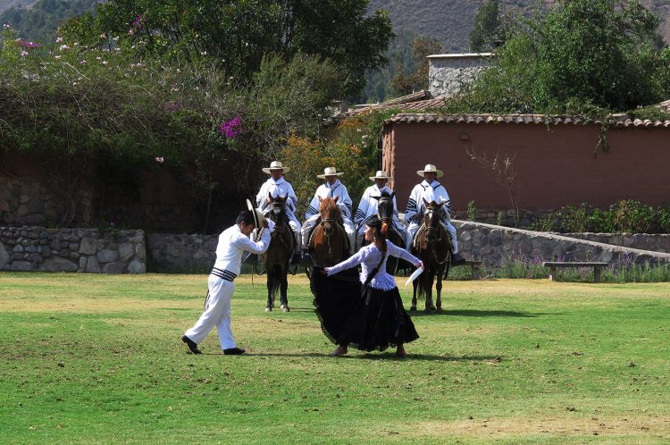 Performance de cavalos com dança marinera