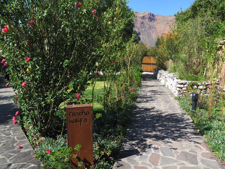 jardins floridos