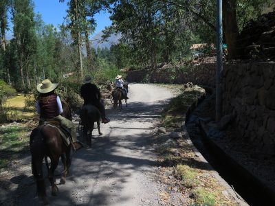 Passeio à cavalo