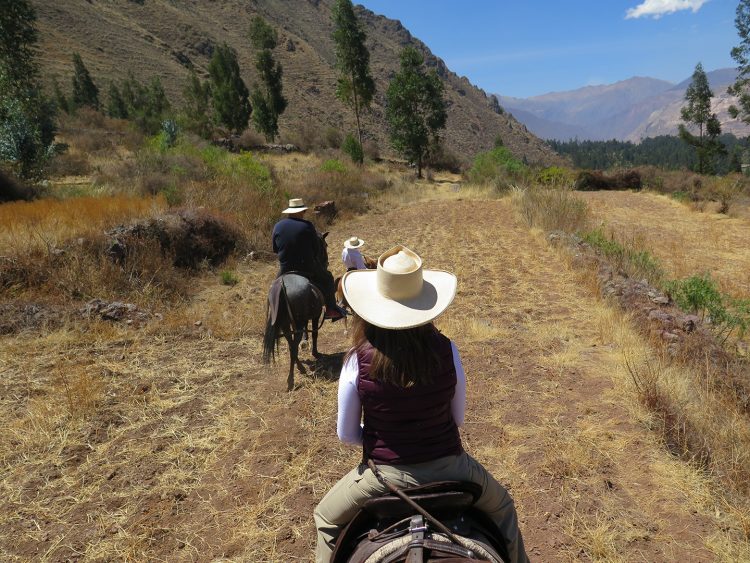 Passeio à cavalo
