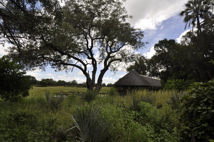 acampamento de luxo em Botswana