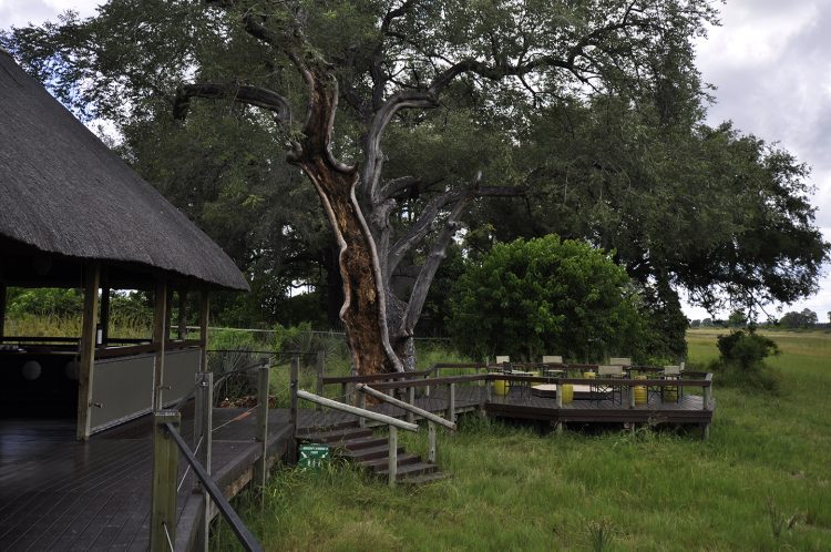area social do Chitabe Lediba