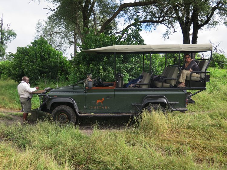 jipe no safari em botswana