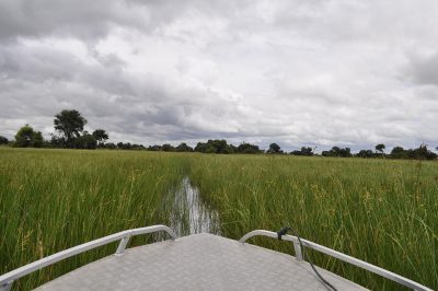 safari por água