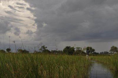 safari por agua no mokoro