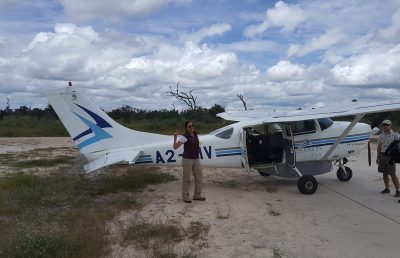 aviãozinho