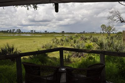 vista d atenda