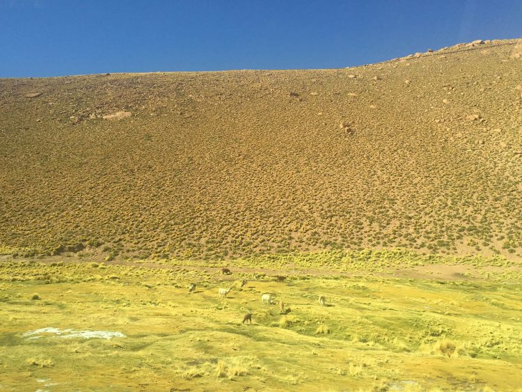 o colorido do deserto do Atacama