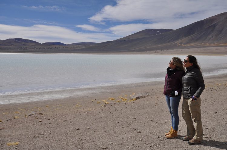 Lagunas altiplânicas no deserto do Atacama