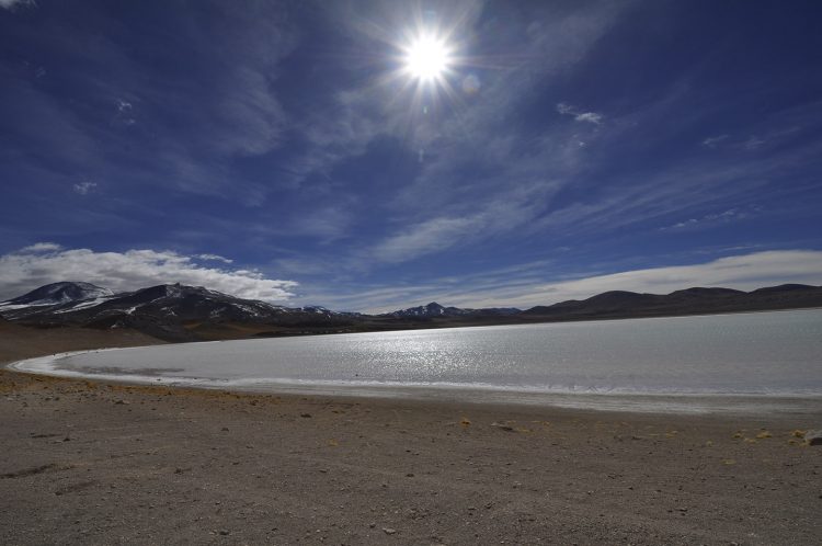 Lagunas altiplânicas