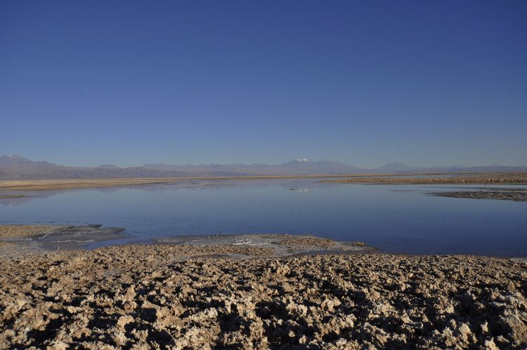 Laguna de Chaxa no deserto do Atacama