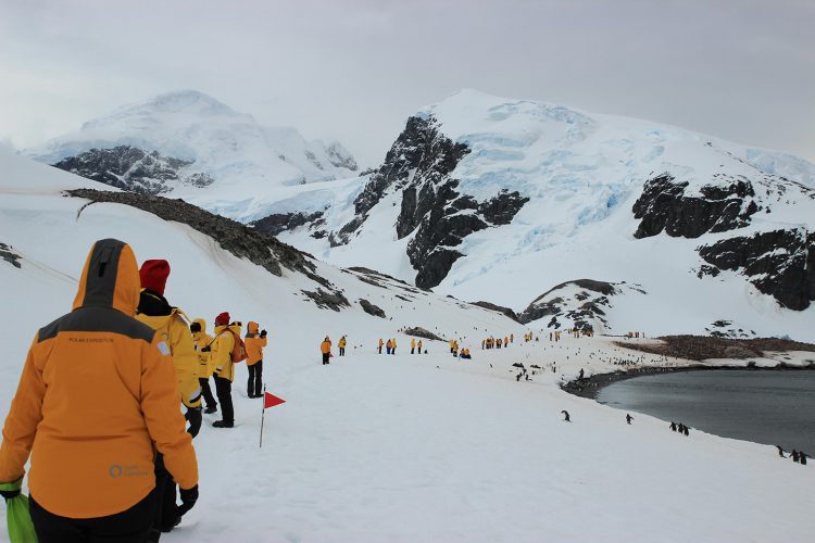 Trekking na Antártica